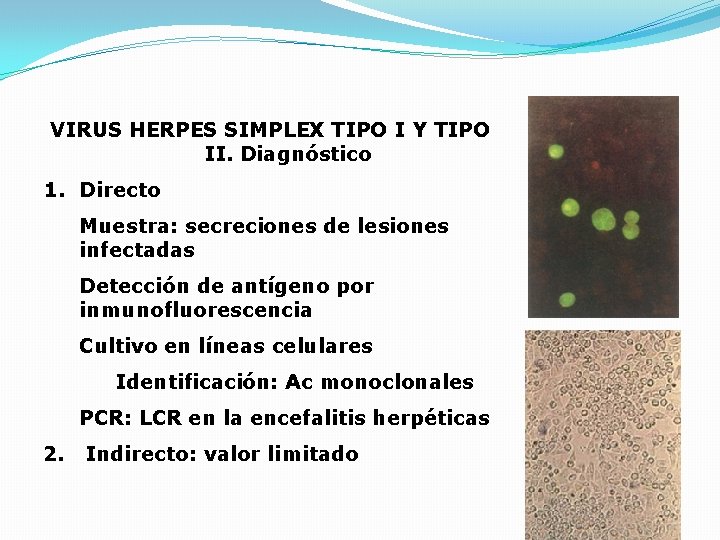 VIRUS HERPES SIMPLEX TIPO I Y TIPO II. Diagnóstico 1. Directo Muestra: secreciones de