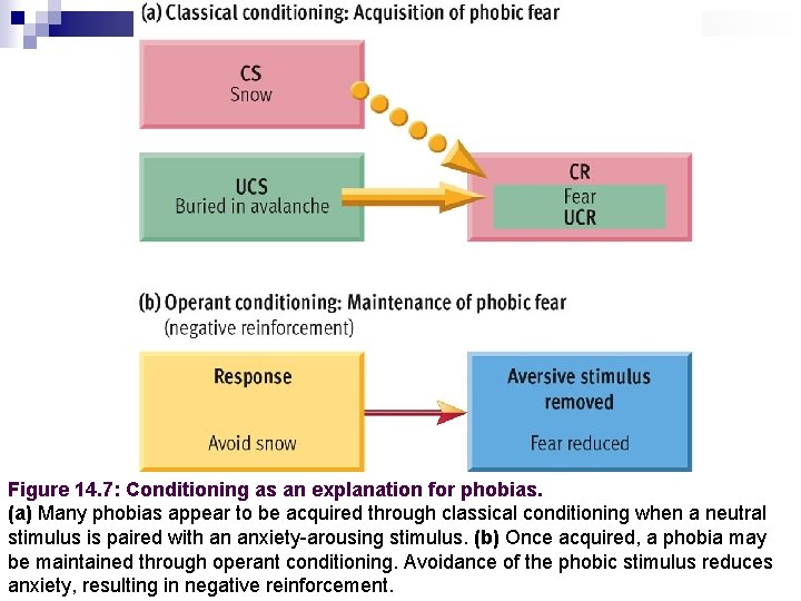 Figure 14. 7: Conditioning as an explanation for phobias. (a) Many phobias appear to