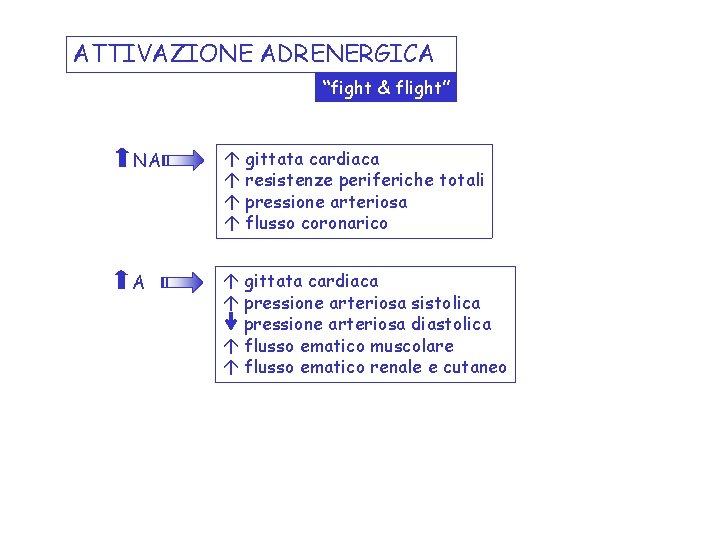 ATTIVAZIONE ADRENERGICA “fight & flight” NA á gittata cardiaca á resistenze periferiche totali á