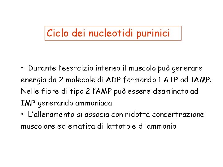 Ciclo dei nucleotidi purinici • Durante l’esercizio intenso il muscolo può generare energia da