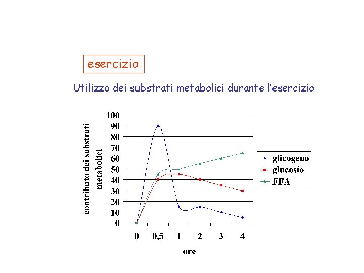 esercizio Utilizzo dei substrati metabolici durante l’esercizio 