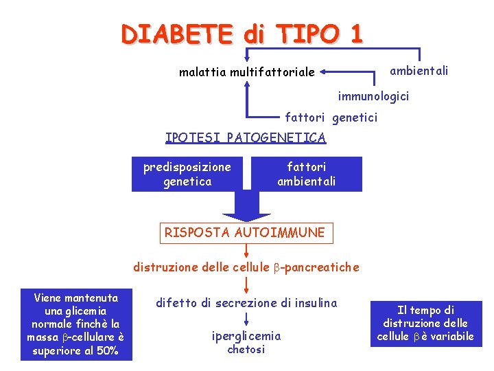 DIABETE di TIPO 1 ambientali malattia multifattoriale immunologici fattori genetici IPOTESI PATOGENETICA predisposizione genetica