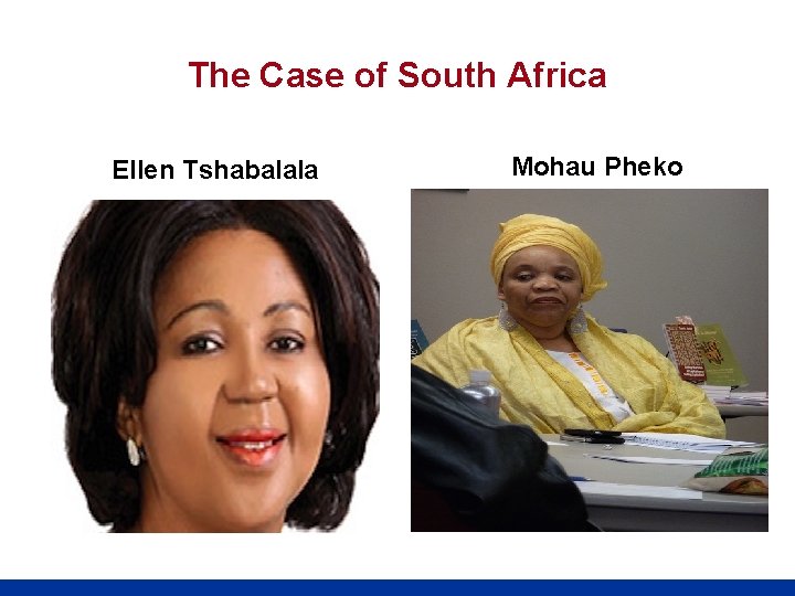 The Case of South Africa Ellen Tshabalala Mohau Pheko 