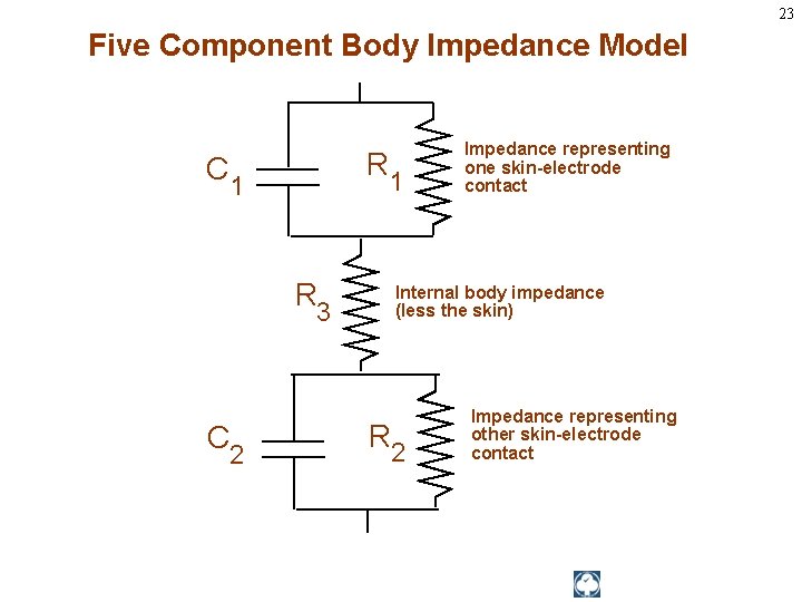 23 Five Component Body Impedance Model C R 1 1 R Internal body impedance