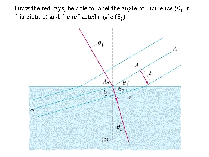 Draw the red rays, be able to label the angle of incidence (θ 1