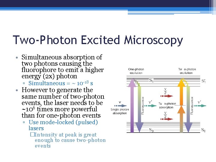 Two-Photon Excited Microscopy • Simultaneous absorption of two photons causing the fluorophore to emit