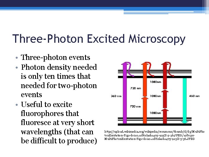 Three-Photon Excited Microscopy • Three-photon events • Photon density needed is only ten times