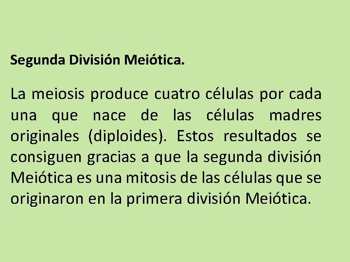 Segunda División Meiótica. La meiosis produce cuatro células por cada una que nace de