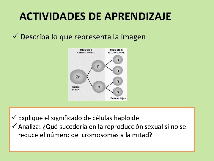 ACTIVIDADES DE APRENDIZAJE ü Describa lo que representa la imagen ü Explique el significado