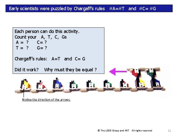 Early scientists were puzzled by Chargaff’s rules #A=#T and #C= #G Each person can