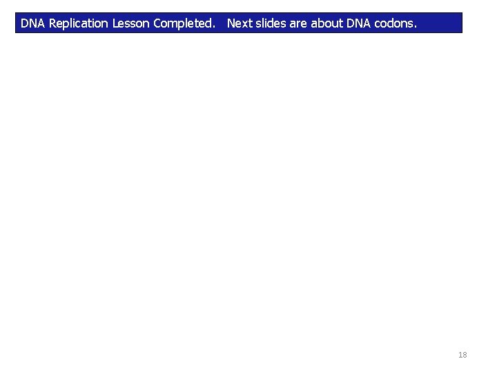 DNA Replication Lesson Completed. Next slides are about DNA codons. 18 