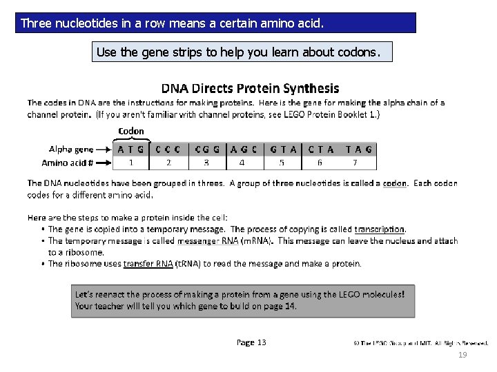 Three nucleotides in a row means a certain amino acid. Use the gene strips
