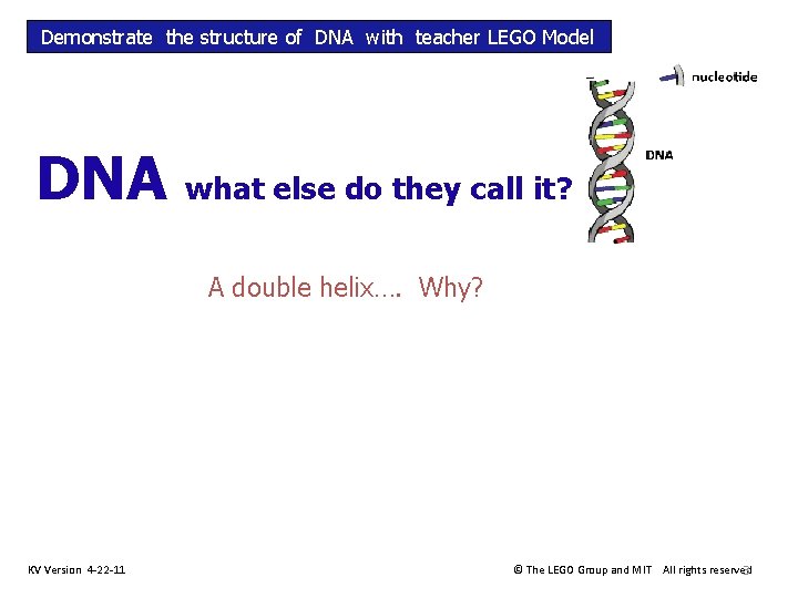 Demonstrate the structure of DNA with teacher LEGO Model DNA what else do they