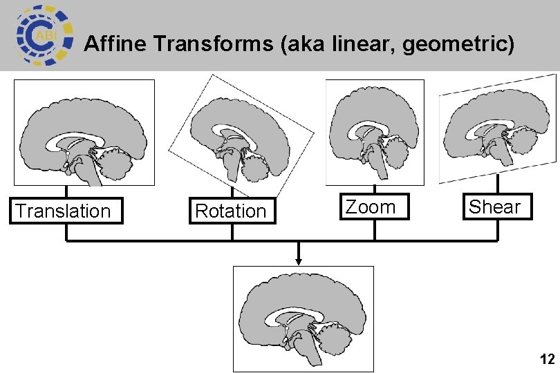 Affine Transforms (aka linear, geometric) Translation Rotation Zoom Shear 12 