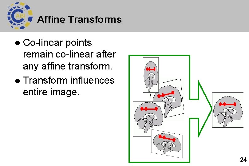 Affine Transforms Co-linear points remain co-linear after any affine transform. l Transform influences entire