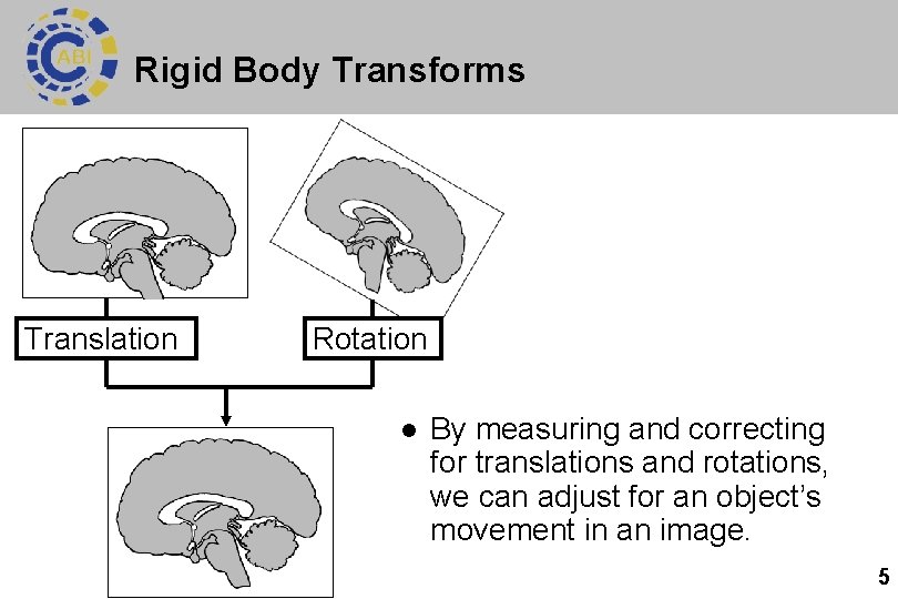 Rigid Body Transforms Translation Rotation l By measuring and correcting for translations and rotations,