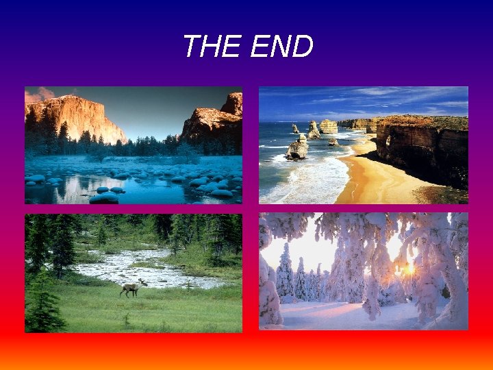 THE END 