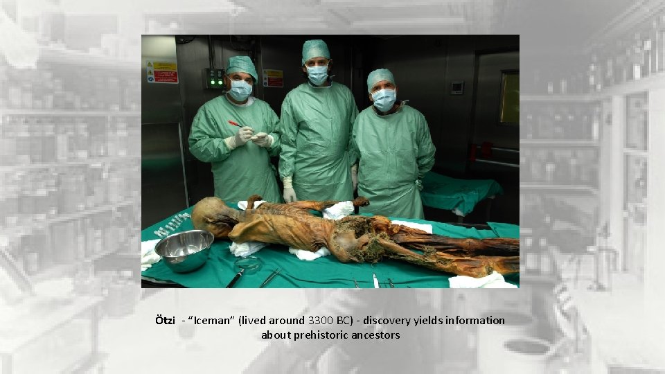 Ötzi - “Iceman” (lived around 3300 BC) - discovery yields information about prehistoric ancestors