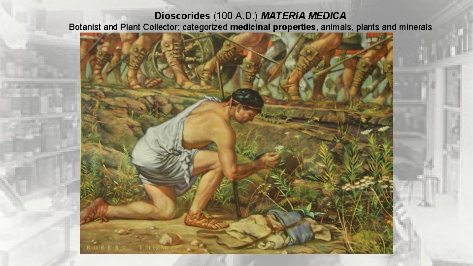 Dioscorides (100 A. D. ) MATERIA MEDICA Botanist and Plant Collector; categorized medicinal properties,