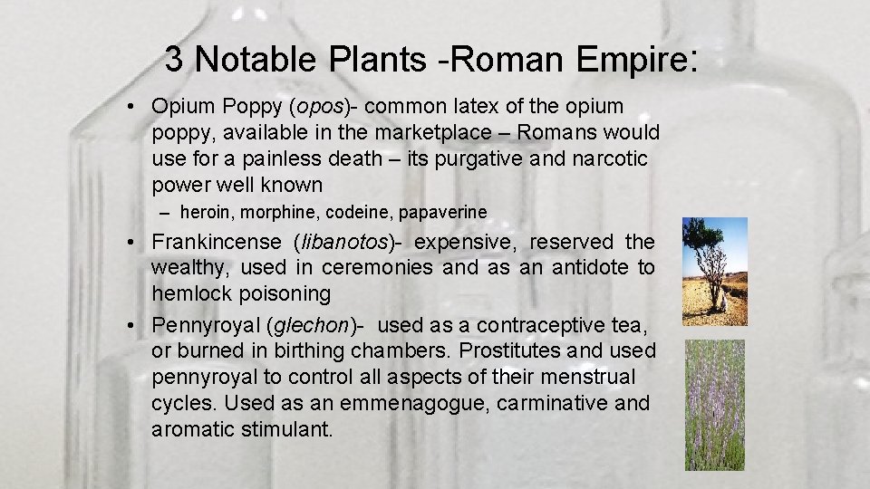 3 Notable Plants -Roman Empire: • Opium Poppy (opos)- common latex of the opium