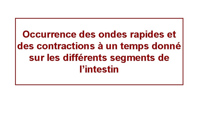 Occurrence des ondes rapides et des contractions à un temps donné sur les différents