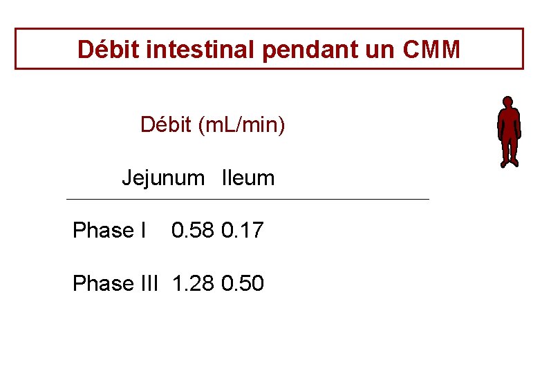 Débit intestinal pendant un CMM Débit (m. L/min) Jejunum Ileum Phase I 0. 58