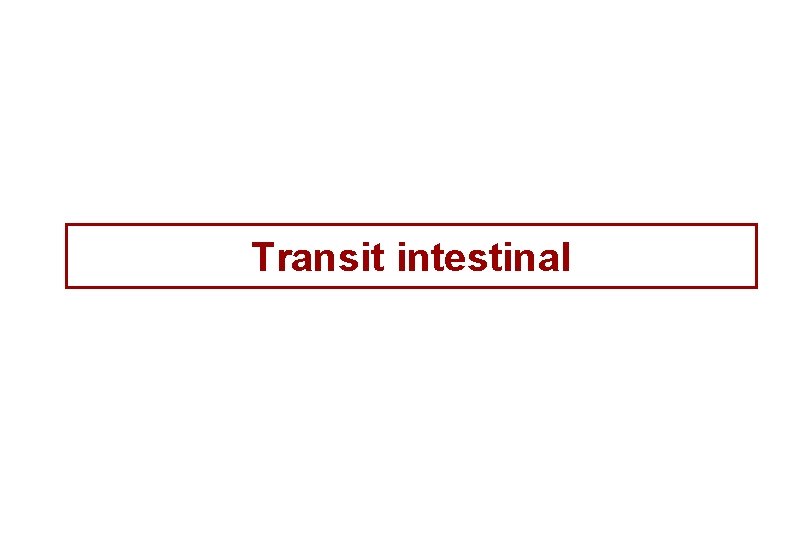 Transit intestinal 