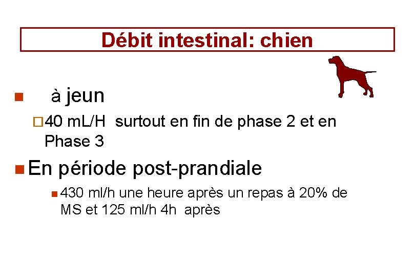 Débit intestinal: chien n à jeun ¨ 40 m. L/H surtout en fin de