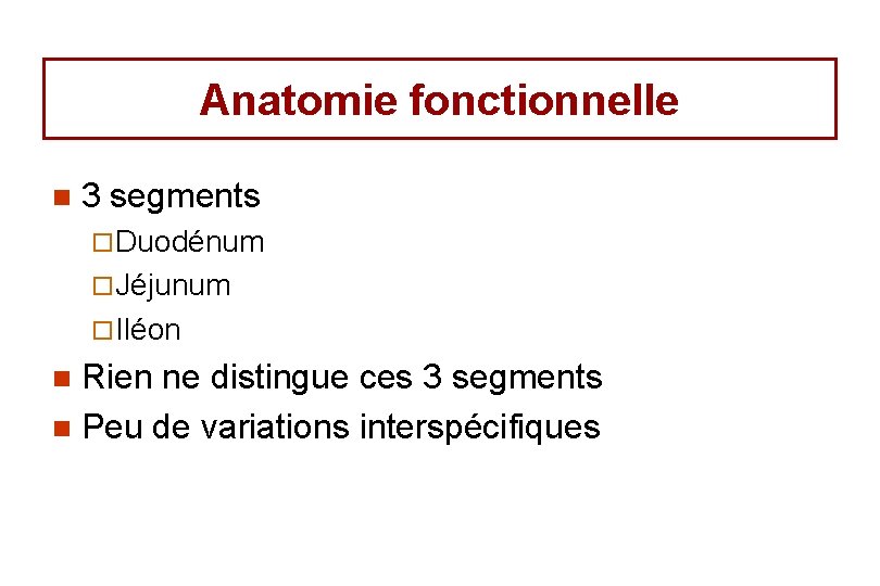 Anatomie fonctionnelle n 3 segments ¨ Duodénum ¨ Jéjunum ¨ Iléon Rien ne distingue