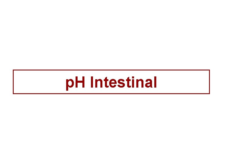 p. H Intestinal 