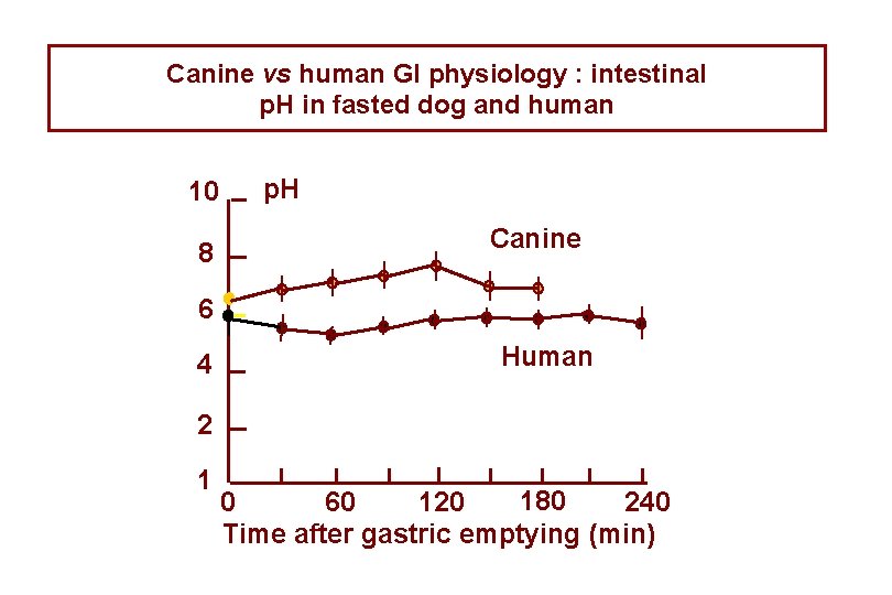 Canine vs human GI physiology : intestinal p. H in fasted dog and human