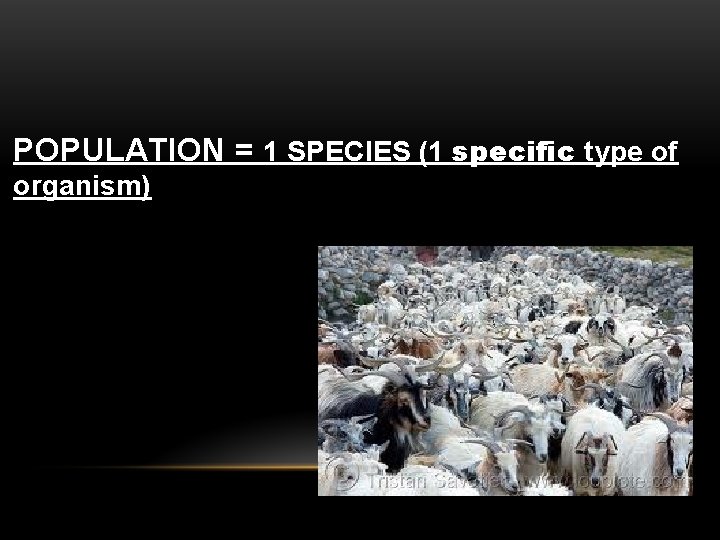 POPULATION = 1 SPECIES (1 specific type of organism) 