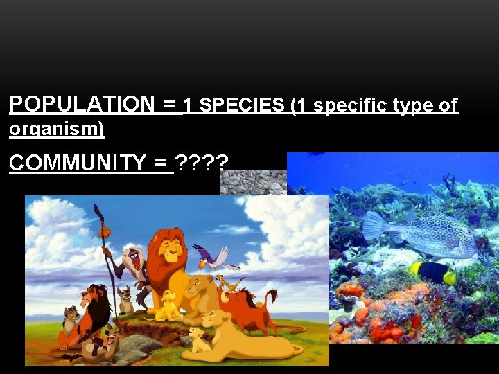 POPULATION = 1 SPECIES (1 specific type of organism) COMMUNITY = ? ? 