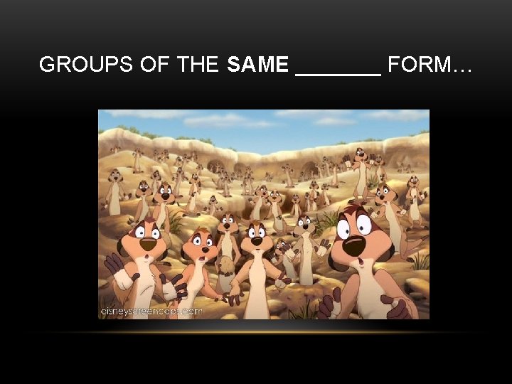 GROUPS OF THE SAME _______ FORM… 