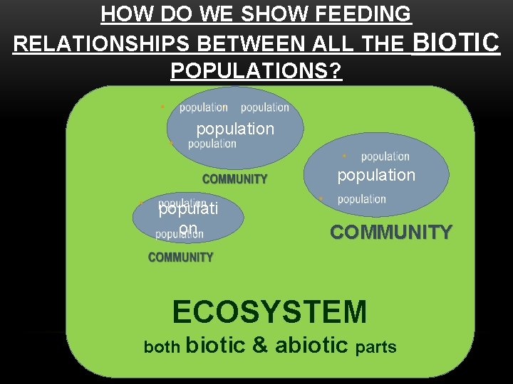 HOW DO WE SHOW FEEDING RELATIONSHIPS BETWEEN ALL THE BIOTIC POPULATIONS? population populati on