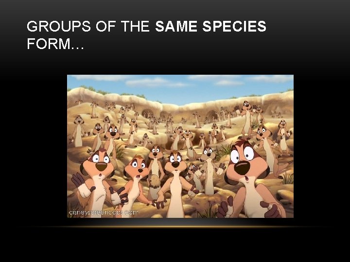 GROUPS OF THE SAME SPECIES FORM… 