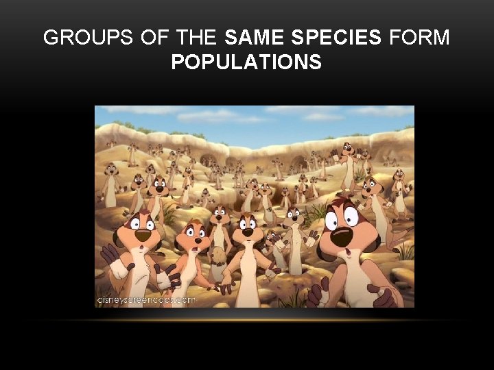 GROUPS OF THE SAME SPECIES FORM POPULATIONS 