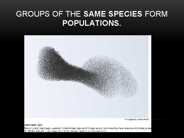 GROUPS OF THE SAME SPECIES FORM POPULATIONS. 