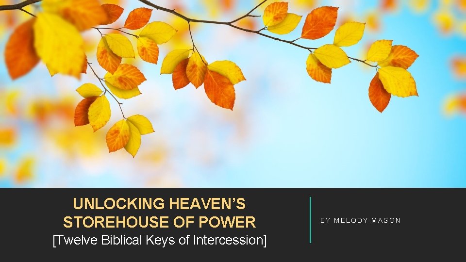 UNLOCKING HEAVEN’S STOREHOUSE OF POWER [Twelve Biblical Keys of Intercession] BY MELODY MASON 