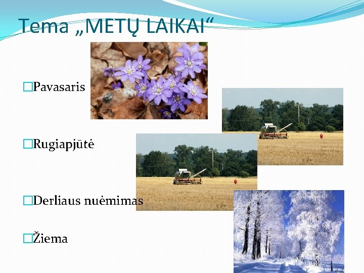 Tema „METŲ LAIKAI“ �Pavasaris �Rugiapjūtė �Derliaus nuėmimas �Žiema 