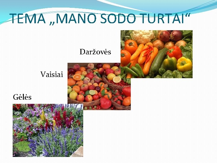 TEMA „MANO SODO TURTAI“ Daržovės Vaisiai Gėlės �Gėlės 