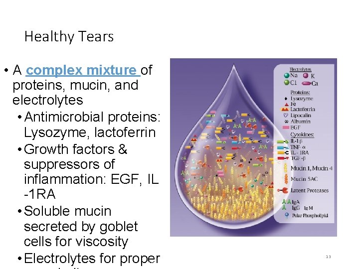 Healthy Tears • A complex mixture of proteins, mucin, and electrolytes • Antimicrobial proteins: