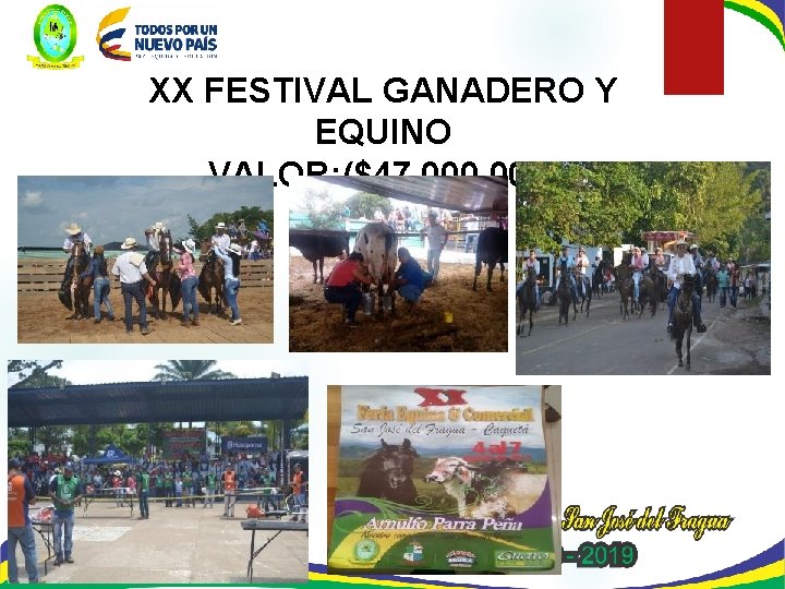 XX FESTIVAL GANADERO Y EQUINO VALOR: ($47. 000) 