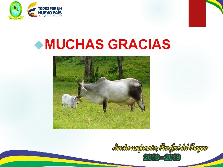  MUCHAS GRACIAS 