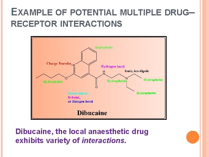 EXAMPLE OF POTENTIAL MULTIPLE DRUG– RECEPTOR INTERACTIONS Dibucaine, the local anaesthetic drug exhibits variety