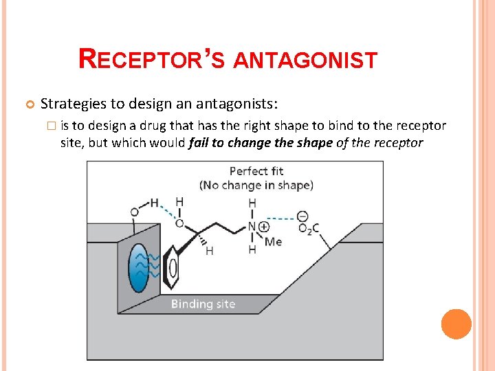 RECEPTOR’S ANTAGONIST Strategies to design an antagonists: � is to design a drug that