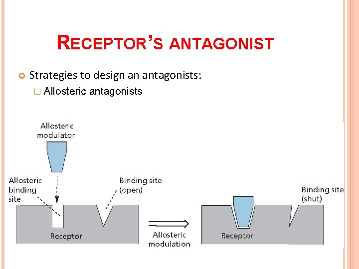 RECEPTOR’S ANTAGONIST Strategies to design an antagonists: � Allosteric antagonists 