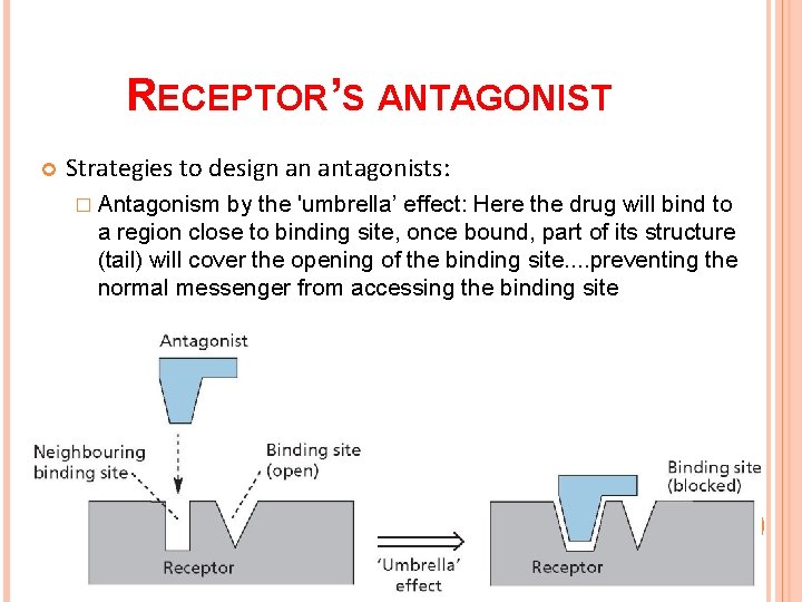 RECEPTOR’S ANTAGONIST Strategies to design an antagonists: � Antagonism by the 'umbrella’ effect: Here