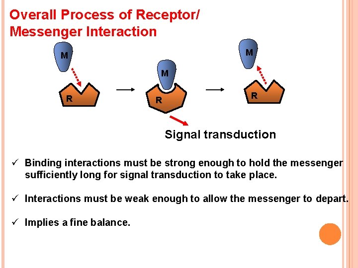 Overall Process of Receptor/ Messenger Interaction M M M RE R RE Signal transduction