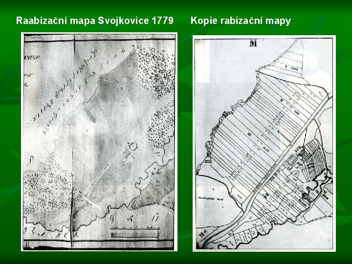 Raabizační mapa Svojkovice 1779 Kopie rabizační mapy 